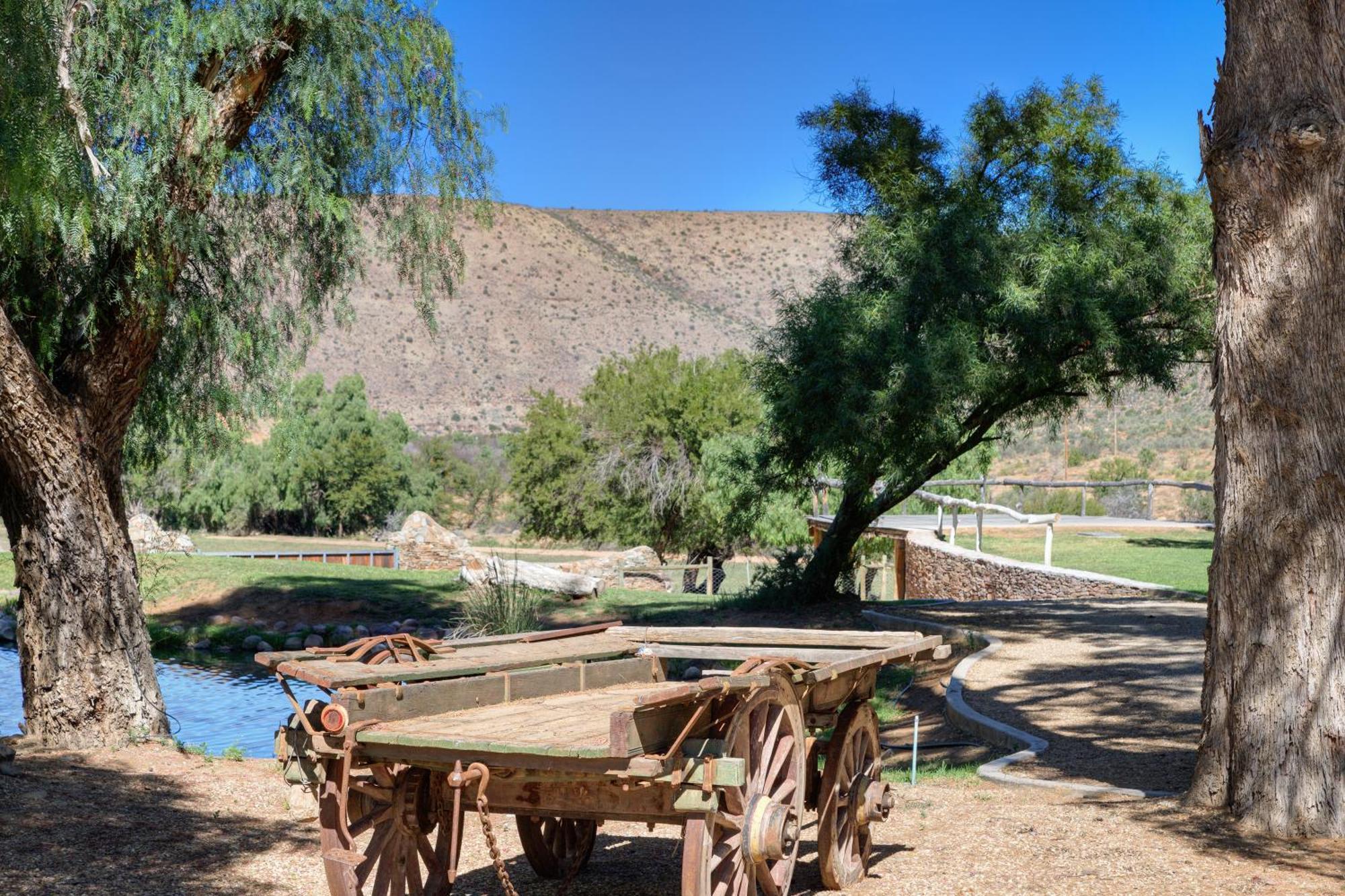 Buccara Wildlife Reserve Graaff-Reinet Exterior foto
